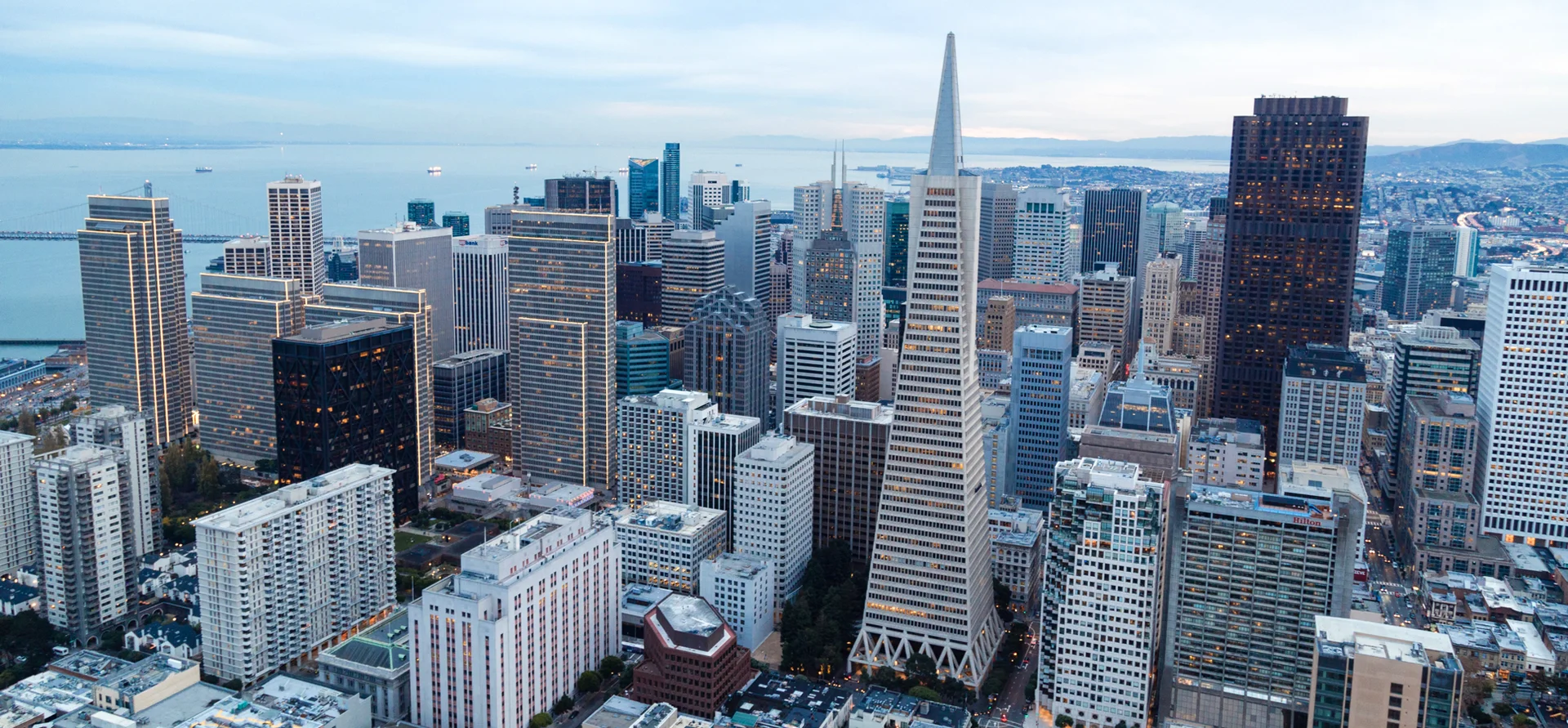 Top San Francisco Startups Featured in Local News